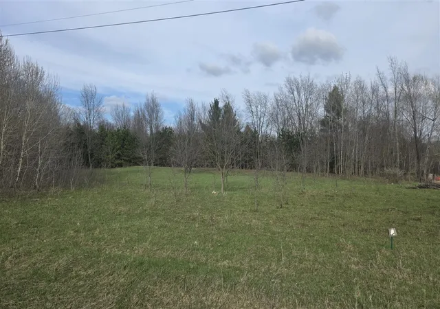 Photo 4 of Land for sale at V/l 10a 120th Ave, Hart, MI 49420 | MLS# 70524757 | Listing updated on 2026-06-23