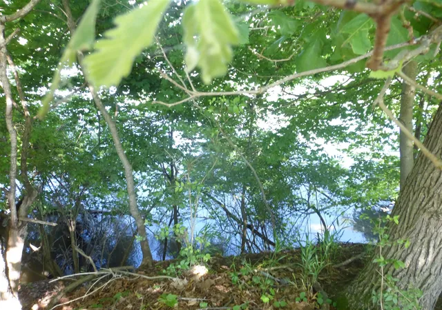 Photo 3 of Land for sale at 509 N State St, Niles, MI 49120 | MLS# 70524164 | Listing updated on 2026-04-10