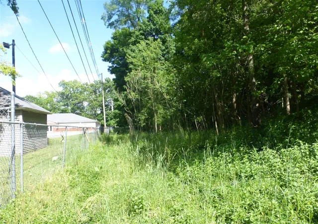 Photo 4 of Land for sale at 509 N State St, Niles, MI 49120 | MLS# 70524164 | Listing updated on 2026-04-10