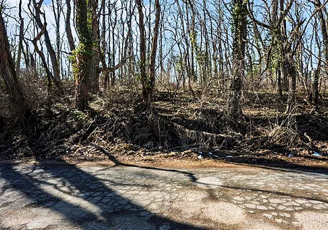 Photo 3 of Land for sale at Mill St, Albion, MI 49224 | MLS# 70517094 | Listing updated on 2026-08-24