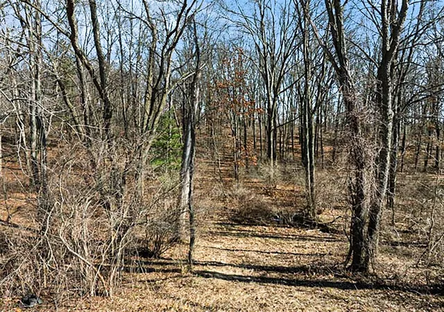 Photo 3 of Land for sale at Mill St, Albion, MI 49224 | MLS# 70517094 | Listing updated on 2026-08-24