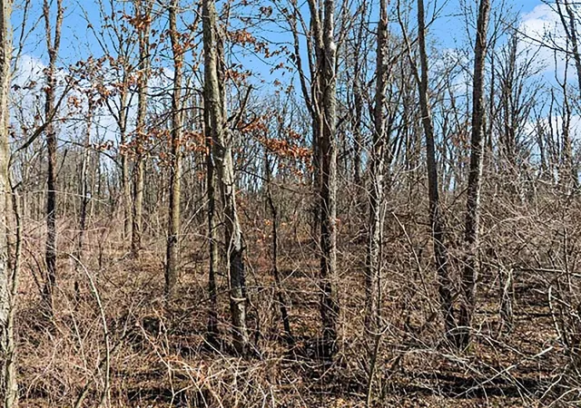 Photo 4 of Land for sale at Mill St, Albion, MI 49224 | MLS# 70517094 | Listing updated on 2026-08-24