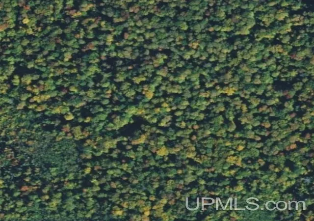 Photo 2 of Land for sale at Tbd Off Chipmunk Trl, Republic, MI 49879 | MLS# 50212477 | Listing updated on 2026-07-15