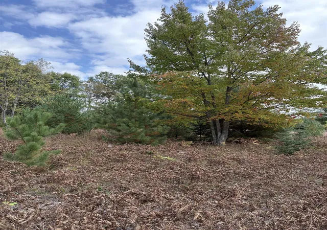 15th image of 7267 S Snyder Rd, Fife Lake, MI 49633 | MLS# 80062293
