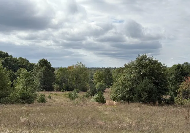 1st image of 7267 S Snyder Rd, Fife Lake, MI 49633 | MLS# 80062293