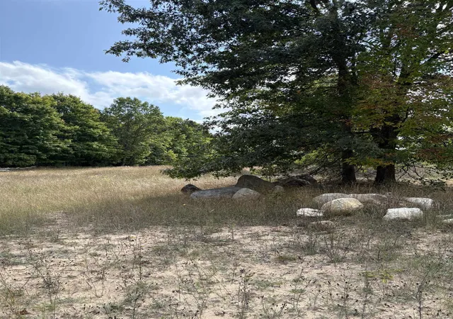 Photo 3 of Land for sale at 7267 S Snyder Rd, Fife Lake, MI 49633 | MLS# 80062293 | Listing updated on 2026-08-10