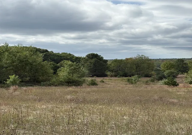 Photo 3 of Land for sale at 7267 S Snyder Rd, Fife Lake, MI 49633 | MLS# 80062293 | Listing updated on 2026-09-24