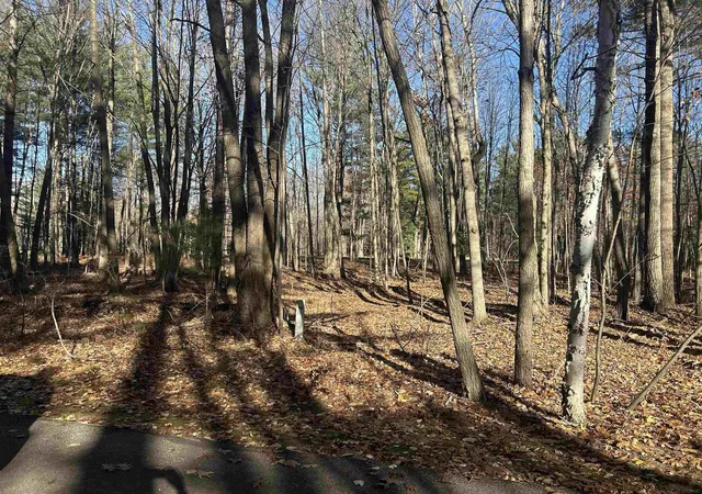 5th image of 0 Fairway Dr St, Standish, MI 48658 | MLS# 50194388