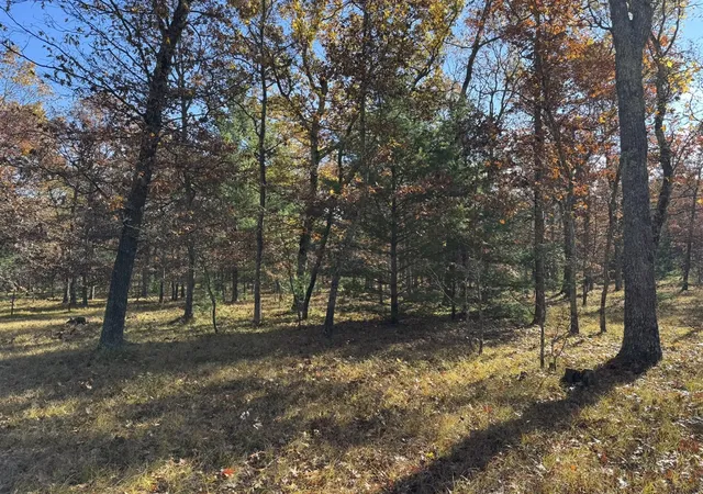 Homes for sale in Free Soil, MI | Parcel 7 County Line Rd, Free Soil, MI 49411 | MLS# 70519669