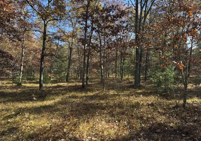 Homes for sale in Free Soil, MI | Parcel 7 County Line Rd, Free Soil, MI 49411 | MLS# 70519669