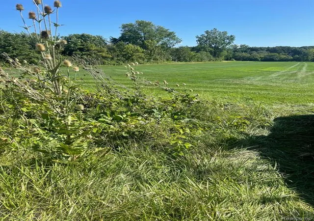Photo 2 of Land for sale at 00000 Pennsylvania Rd, Romulus, MI 48174 | MLS# 60392210 | Listing updated on 2026-05-01