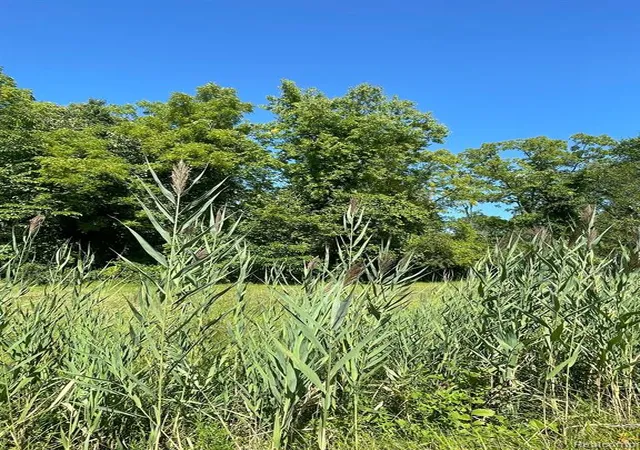 Photo 3 of Land for sale at 00000 Pennsylvania Rd, Romulus, MI 48174 | MLS# 60392210 | Listing updated on 2026-05-01