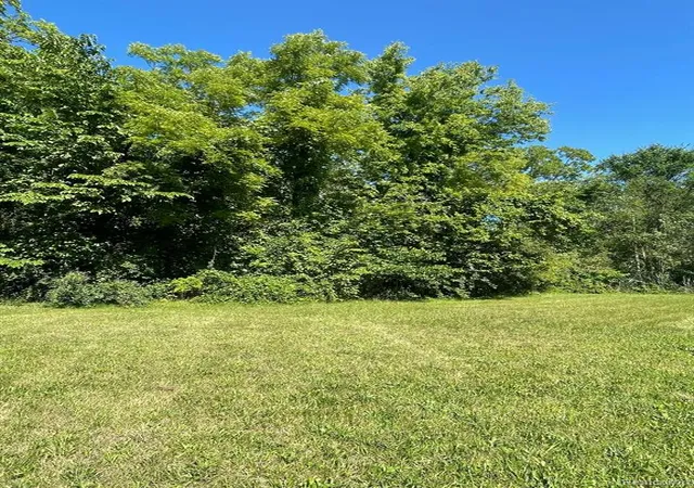 Photo 4 of Land for sale at 00000 Pennsylvania Rd, Romulus, MI 48174 | MLS# 60392210 | Listing updated on 2026-05-01