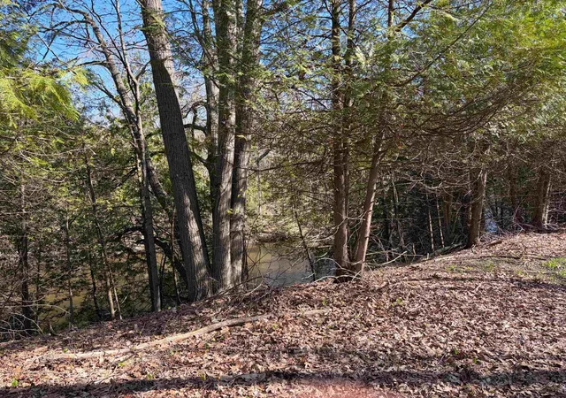 3rd image of Tbd S Loomis Rd, Mount Pleasant, MI 48858 | MLS# 80067806