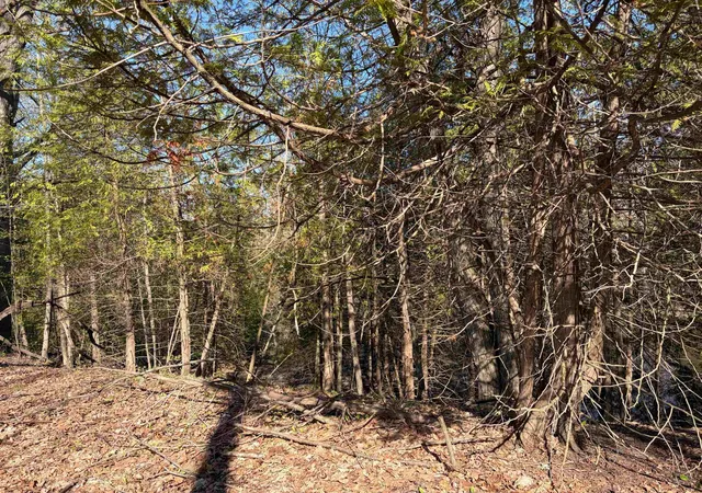 4th image of Tbd S Loomis Rd, Mount Pleasant, MI 48858 | MLS# 80067806