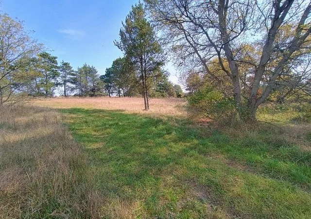 Photo 3 of Land for sale at 3571 E Decker Rd, Custer, MI 49405 | MLS# 70484434 | Listing updated on 2025-12-10