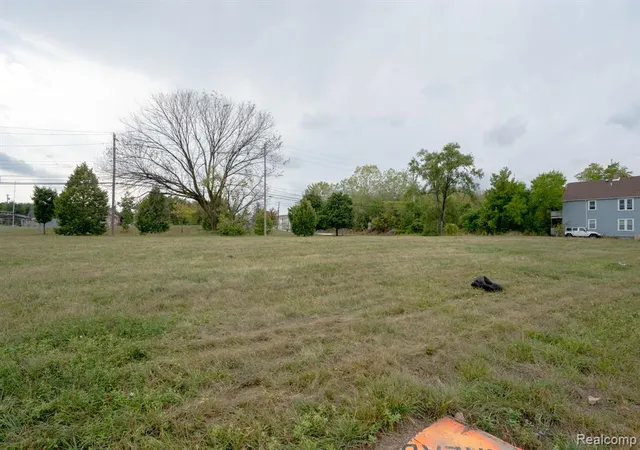 Photo 3 of Land for sale at 9845 Russell St, Detroit, MI 48211 1049 | MLS# 60940313 | Listing updated on 2026-09-17