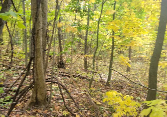 Photo 3 of Land for sale at 74066 Ridgeway Dr, Lawton, MI 49065 | MLS# 70502038 | Listing updated on 2026-06-30