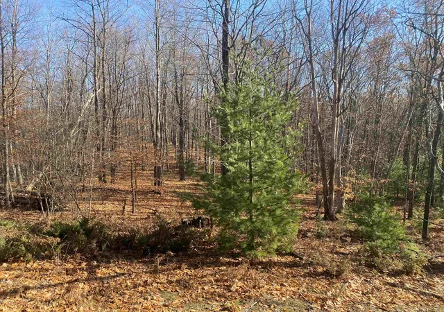 20th image of 000 E Hammond, Traverse City, MI 49686 | MLS# 80063909