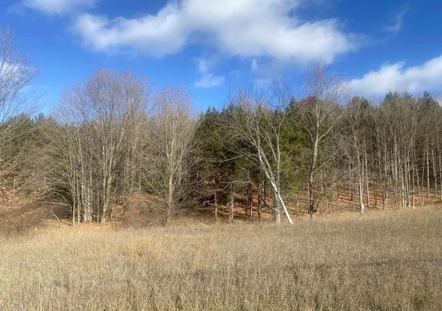 4th image of 000 E Hammond, Traverse City, MI 49686 | MLS# 80063909