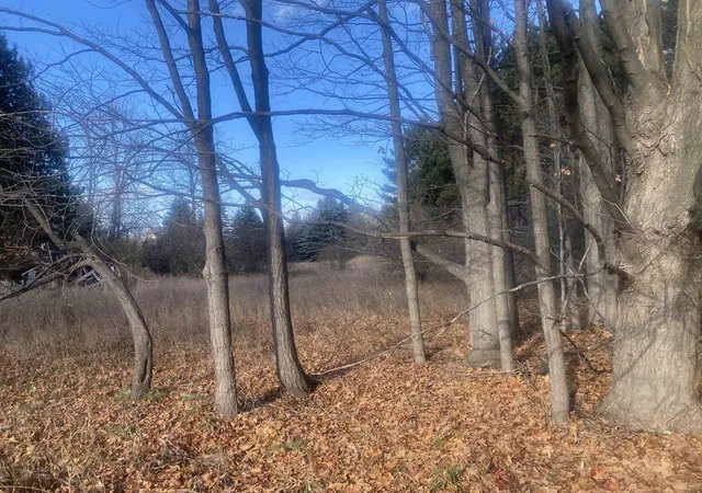 5th image of 000 E Hammond, Traverse City, MI 49686 | MLS# 80063909