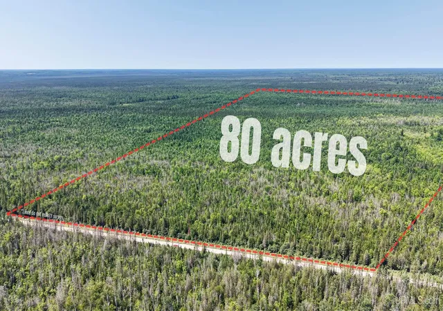 Photo 1 of Sale Pending at Tbd E N Co Rd 415, Mc Millan, MI 49853 | MLS# 50216797 | Listing updated on 2026-09-09