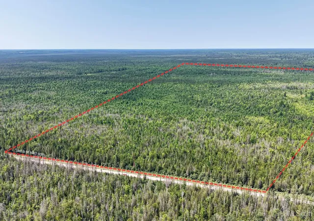 Photo 2 of Sale Pending at Tbd E N Co Rd 415, Mc Millan, MI 49853 | MLS# 50216797 | Listing updated on 2026-09-09