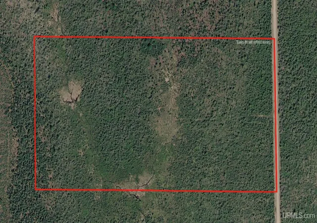Photo 3 of Sale Pending at Tbd E N Co Rd 415, Mc Millan, MI 49853 | MLS# 50216797 | Listing updated on 2026-09-09