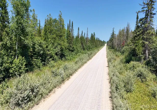 Photo 4 of Sale Pending at Tbd E N Co Rd 415, Mc Millan, MI 49853 | MLS# 50216797 | Listing updated on 2026-09-09