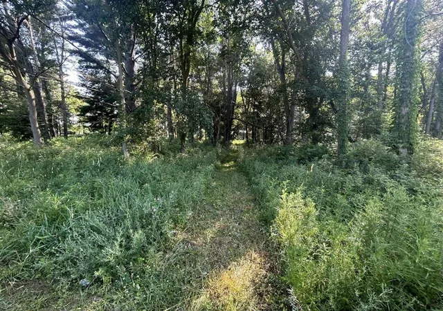 Photo 4 of Land for sale at 7509 Genesee Rd, Litchfield, MI 49252 | MLS# 70543274 | Listing updated on 2026-08-09