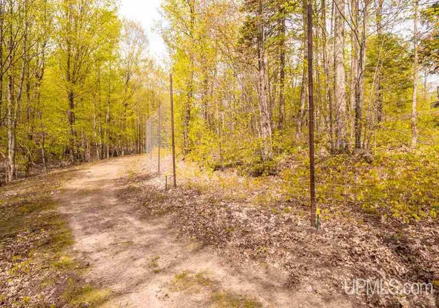 Homes for sale in Negaunee, MI | 324 County Road 480 Road, Negaunee, MI 49866 | MLS# 50080040