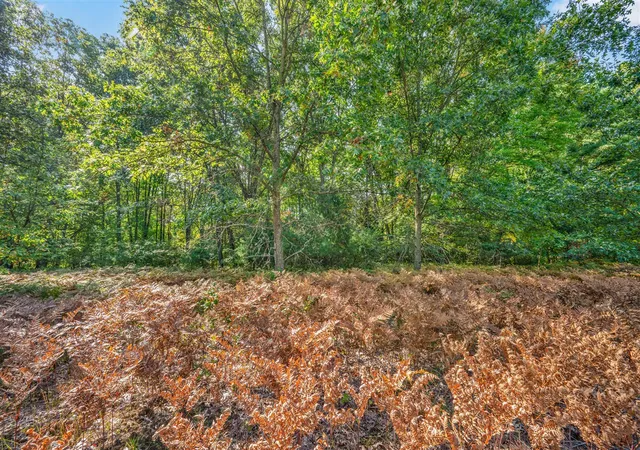 Homes for sale in Big Rapids, MI | Lot 7 University Club Dr, Big Rapids, MI 49307 | MLS# 70495275