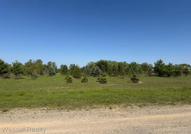 Homes for sale in Imlay City, MI | 0 Windmill Ln, Imlay City, MI 48444 | MLS# 61000667