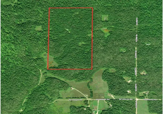 Homes for sale in Elmira, MI | 4439 Kuzmik Rd, Elmira, MI 49730 | MLS# 70542399