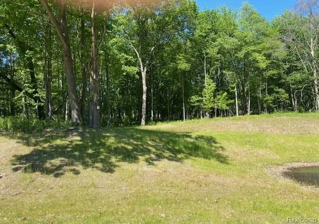 1st image of Lot 5 Dollar Ridge Ln, South Lyon, MI 48178 | MLS# 61001115