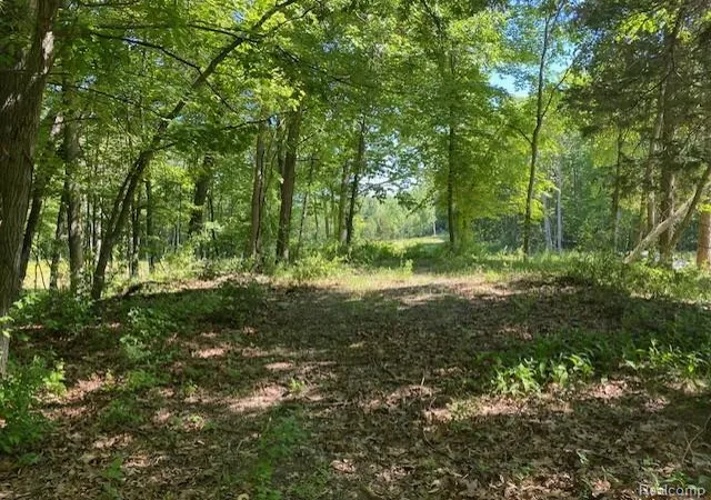 7th image of Lot 5 Dollar Ridge Ln, South Lyon, MI 48178 | MLS# 61001115