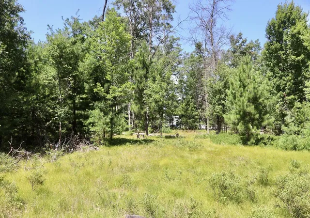 Photo 3 of Land for sale at 002 E Greenwood Rd, Prescott, MI 48756 | MLS# 70548365 | Listing updated on 2026-09-05