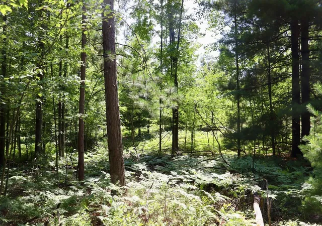 Photo 4 of Land for sale at 002 E Greenwood Rd, Prescott, MI 48756 | MLS# 70548365 | Listing updated on 2026-09-05