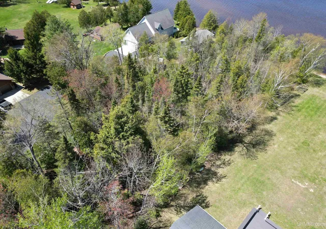 Homes for sale in Manistique, MI | Tbd County Road 441 Road, Manistique, MI 49854 | MLS# 50209087