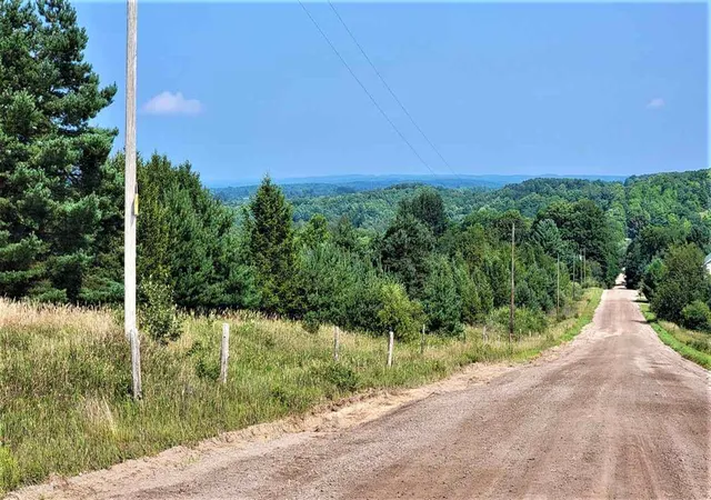 Homes for sale in Alden, MI | Parcel C Cemetery, Alden, MI 49612 | MLS# 1306210