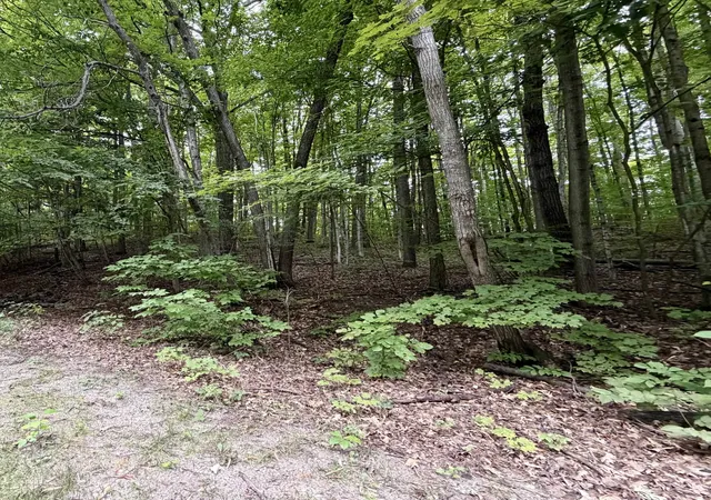 1st image of 0000 Wasservalden, Bellaire, MI 49615 | MLS# 80072690