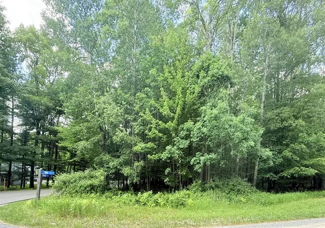 Homes for sale in Stanwood, MI | 9760 Main St, Stanwood, MI 49346 | MLS# 70478445