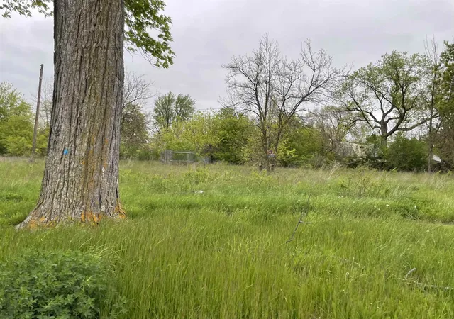 Photo 3 of Land for sale at 2123 Annesley St, Saginaw, MI 48601 | MLS# 50198689 | Listing updated on 2026-09-14