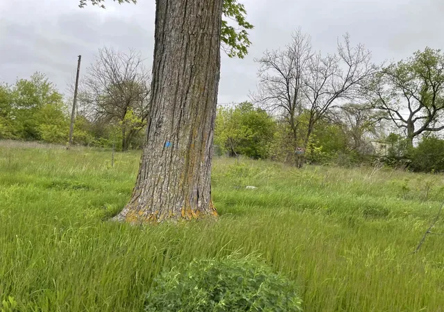 Photo 3 of Land for sale at 2123 Annesley St, Saginaw, MI 48601 | MLS# 50198689 | Listing updated on 2026-09-14