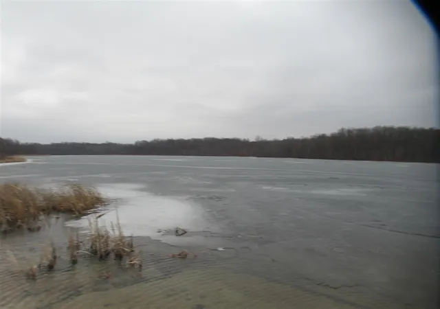 Homes for sale in Cassopolis, MI | 17673 Long Lake Dr, Cassopolis, MI 49031 | MLS# 70511043