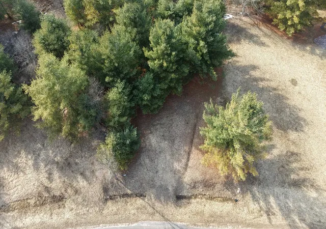 Photo 2 of Land for sale at Lot 59 Worchester Way, Gladwin, MI 48624 | MLS# 50202711 | Listing updated on 2026-06-15