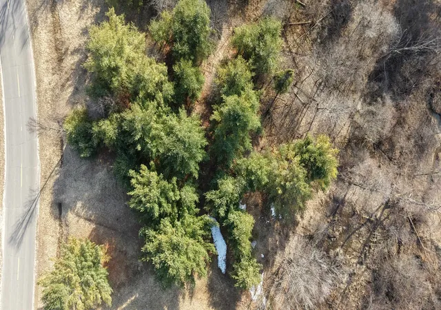 Photo 4 of Land for sale at Lot 59 Worchester Way, Gladwin, MI 48624 | MLS# 50202711 | Listing updated on 2026-06-15