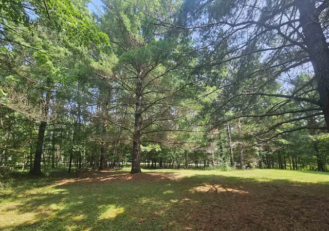 5th image of Lot 57 Berkshire Dr, Gladwin, MI 48624 | MLS# 50215833