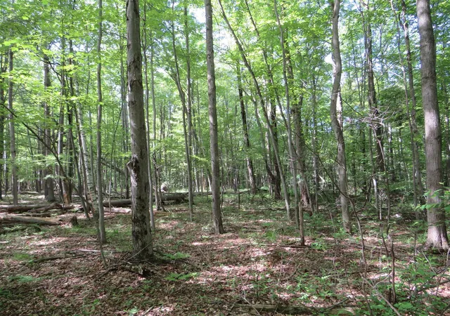 Photo 4 of Sale Pending at Vl Elkton Rd, Update, MI 48754 | MLS# 70537851 | Listing updated on 2026-09-13