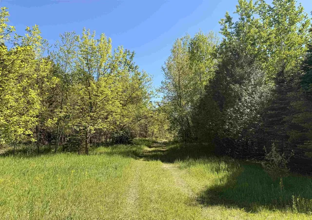 Homes for sale in Cedar, MI | 6A S Lime Lake Rd, Cedar, MI 49621 | MLS# 80069765